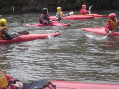 Waiting in the flow.JPG