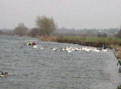 Thames hazards