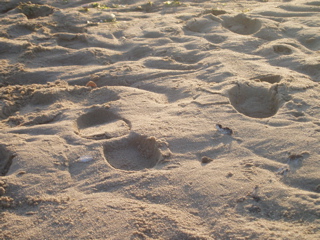 P7020067