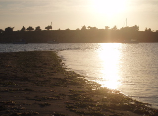 P7020066