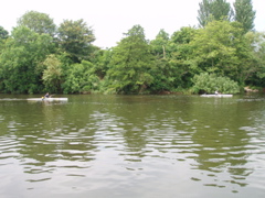 P6180084