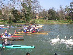 IMG_1343.JPG