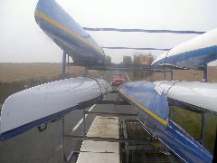 the boats