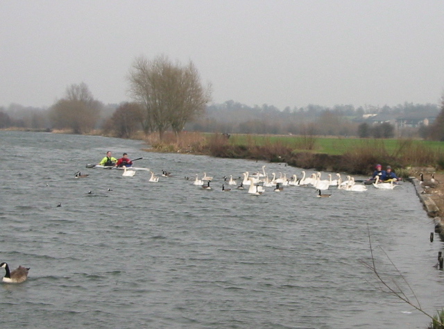Thames hazards