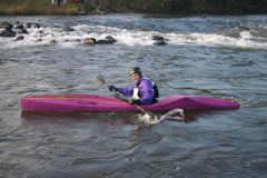 after bickleigh before cowley 023