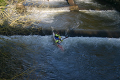 cowley 021