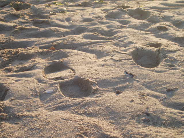 P7020067